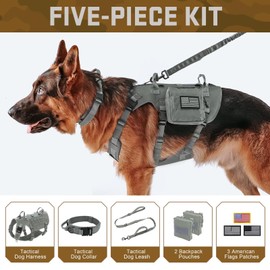 Forestpaw Tactical Dog Harness for Large Dogs,Tactical Dog Collar with Bungee Leash Set,No Pull Military Dog Harness for Walking Training,Adjustable for Medium Large Dogs,Gray,Chest 21.5-45"