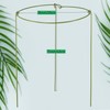 Boinio Adjustable Snake Plant Support Stakes, Peony Supports Cages Garden