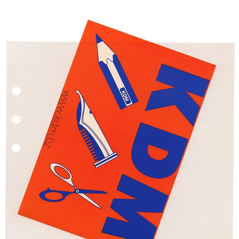 レイメイ藤井 ダヴィンチ リフィル P.Pポケット A5サイズ DAR320