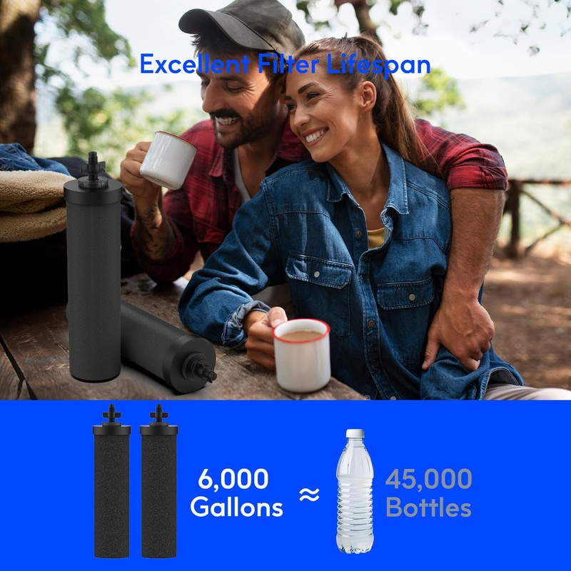 Lifefilter Replacement for BB9-2 Black Purification Water Filter, Compatible with