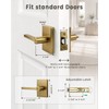 Champagne Bronze Door Knobs, Satin Brass Golden Interior Door Handles