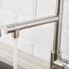 Commercial Single Handle Kitchen Sink Faucet with Pull-Down Sprayer Brushed
