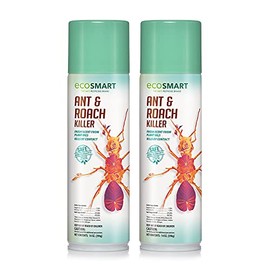 EcoSmart Natural, Plant-Based Ant and Roach Killer with Peppermint and Rosemary Oil, 14 Ounce Aerosol Spray Can (Pack of 2)