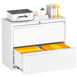 INTERGREAT Lateral File Cabinet 2 Drawer, Metal 2 Drawer Filing Cabinet with Lock for Home Office, Locking File Cabinet for Letter/Legal/F4/A4 Size Hanging Files, White, Easy Assembly - 32" W