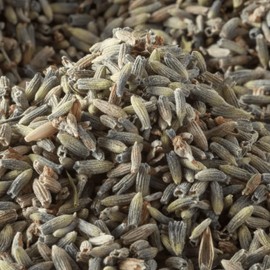 Bremer Gewürzhandel Lavender Flowers, Dried Lavender Blossoms Loose for Lavender Tea, Edible Flowers for Decorating Dishes, 10 x 80 g