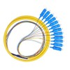 Lianshi 12 Fibers SC Single-Mode Color-Coded Fiber Optic Pigtail