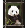 ShiGo Heavy Weight Super Soft Luxury Twin size Blanket 60"X80"-Panda