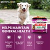 Dog Multivitamin Chewable with Glucosamine - Dog Vitamins and Supplements,