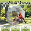 Premium Window Bird Feeder for Outside - Clear Bird House
