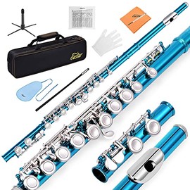 Eastar C Flauta con agujero cerrado de 16 teclas para principiantes y estudiantes, instrumento de flauta con tabla de dedos, kit de limpieza, soporte, estuche de transporte, guantes, barra de