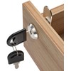 Letter Box Lock 20 mm Locker Lock with Key Furniture