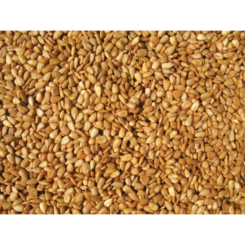 Cole's HM20 Hot Meats Bird Seed, 20-Pound