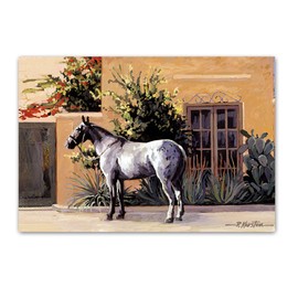 Stonehouse Collection Village Horse Postcards - 4 x 6 Western Postcards - 40 Equestian Postcards (Horse #1)