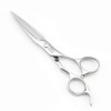 6" Hair Cutting Scissors to Cut Hair Cutting Shears Professional
