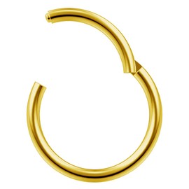 18g 1mm Hinged Segment Rings Seamless Septum Bar Nostril Clicker Cartilage Bar Hoop Lip Ear Lobe Gold 10mm