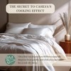 CASILVA Eucalyptus Sheets - Infused with Silver for Anti-Odor, Softer