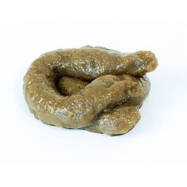 Fake Dog Poo Sticky Realistic Novelty Joke Turd Toy Practical Joke Fancy Dress by Home & Leisure Online