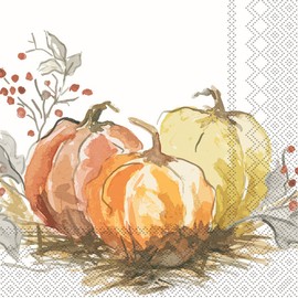 IHR Ideal Home Range Party Napkins Disposable 3-Ply Paper Lunch Napkin Pack, 6.5" x 6.5", Painted Pumpkin, 20-Count