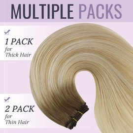 Fshine Weft Extensions Real Hair Ombre 40 cm 100 g Soft Remy Real Hair Extensions No Tangle Hair Extensions Real Hair Wefts in Colour 6 27 60