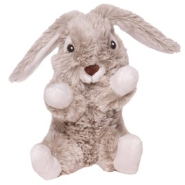 Inware rabbit lying and sitting