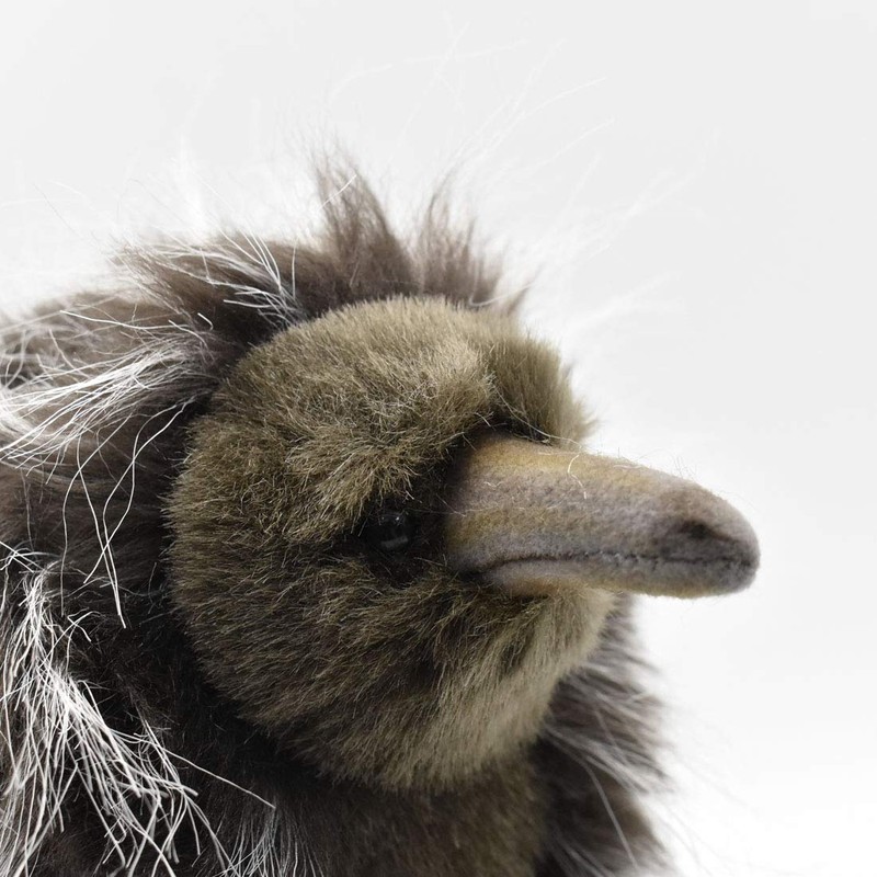 Echidna 11 inches 28cm