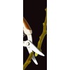 Takagi Stainless R Blade Pruning Shears with Main Blade 7.9