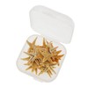 GraceAngie 100 PCS Starfish for Crafts 0.5" to 1" Natural