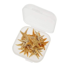 GraceAngie 100 PCS Starfish for Crafts 0.5" to 1" Natural Small Star Starfish for Wedding Beach Theme Decor Home DIY Crafts Decor