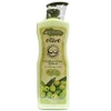 Olive body lotion 500ml-WFHV1XY, a comfortable natural scent that envelops the entire body / 온몸 감싸는 편안한 자연의 향 올리브 바디로션 500ml-WFHV1XY