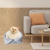 JazRvr Cat Bed, Cuddly Bed, Cats, Cat Cushion, 50 x