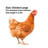 Chicken Diapers for Hens, Roosters - Disposable Lining, Reusable, Adjustable,