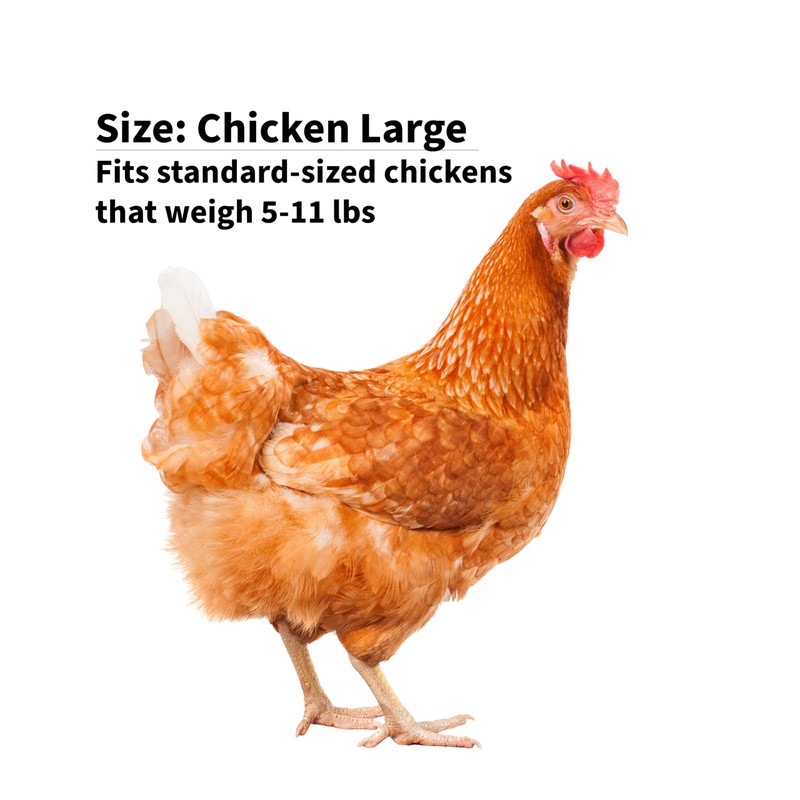 Chicken Diapers for Hens, Roosters - Disposable Lining, Reusable, Adjustable,