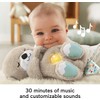 Fisher-Price Baby Toy Soothe 'n Snuggle Otter Portable Plush Sound