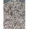 Unbranded 50 SEMILLAS DE PIPIAN CRIOLLO SALVADOREÑO