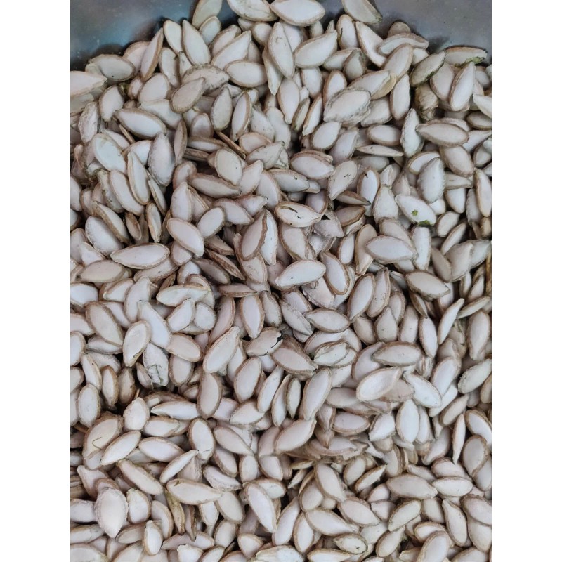 Unbranded 50 SEMILLAS DE PIPIAN CRIOLLO SALVADOREÑO