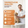 Tierkraft Vitamin B Complex for Dogs, 100 Tablets, Complex B