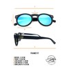 Tarifa Round Sunglasses with Polarized Mirrored Lenses (Black Matte &