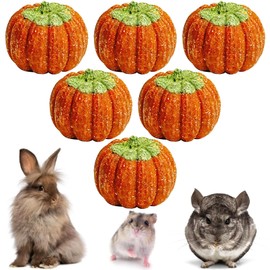 Fhiny 6 PCS Rabbit Chew Toys, Natural Pumpkin Carrot Timothy Grass Guinea Pig Chew Toys for Teeth Bunny Molar Snacks Dental Care Hamster Treats for Bunny Guinea Pig Chinchilla Hamster Gerbil