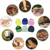 Bearded Dragons Harness Leashes Set Cute Backpack Back to School