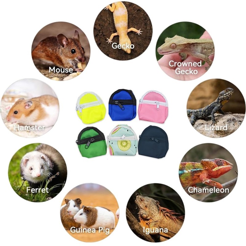 Bearded Dragons Harness Leashes Set Cute Backpack Back to School
