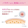 Pore Putty Craftsman Color Loose Powder 01 Natural Pink Foundation