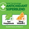 Ryl Unsweetened Green Iced Tea – Antioxidant Superblend, No Artificial