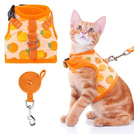 BINGPET Cat Harness with Leash Escape Proof - Fashionable Mesh Cat Dog Walking Harness Leads, Adjustable for Kitties Puppies Small Animals, Large