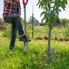 ROOT ASSASSIN 48" Garden Shovel/Saw - The Original & Best