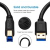 Jelly Tang USB 3.0 Cable A to B 3Ft, Superspeed
