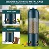 LCSEVEN Bird Feeders for Outdoors Squirrel Proof with Weight-Activated Perches,