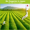Goodwei Matcha Tea Starter Set with Japanese Organic Matcha