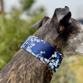 SightHound Gang Extra Soft Martingale Dog Collar for Greyhound Saluki Whippet and Other Breeds with Similar Neck 2" Wide (L 14"-18")