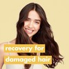 Love Beauty And Planet Hope and Repair Shampoo and Conditioner