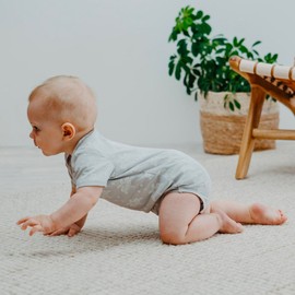 Organic Cotton Summer Short Sleeve Onesie - Palms and Pineapples Grey, 3-6 MTHS